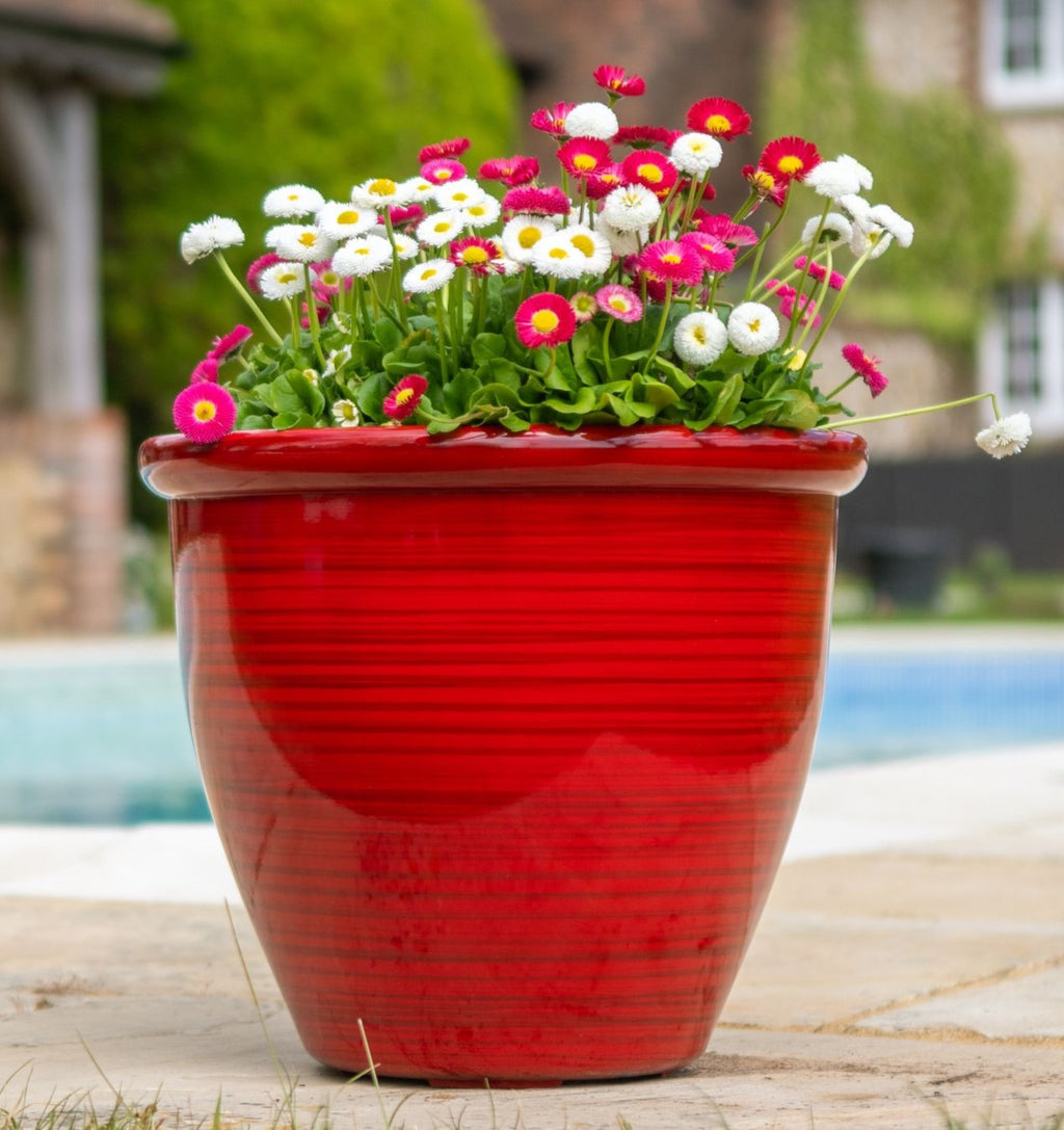 red pot planter Sunshine Ceramica, Spain, Spanish, Pottery, pots, garden, outdoor, colorful, andalusia, andalucia, meditterrenean, plants, containers, bright – sunshineceramica.com