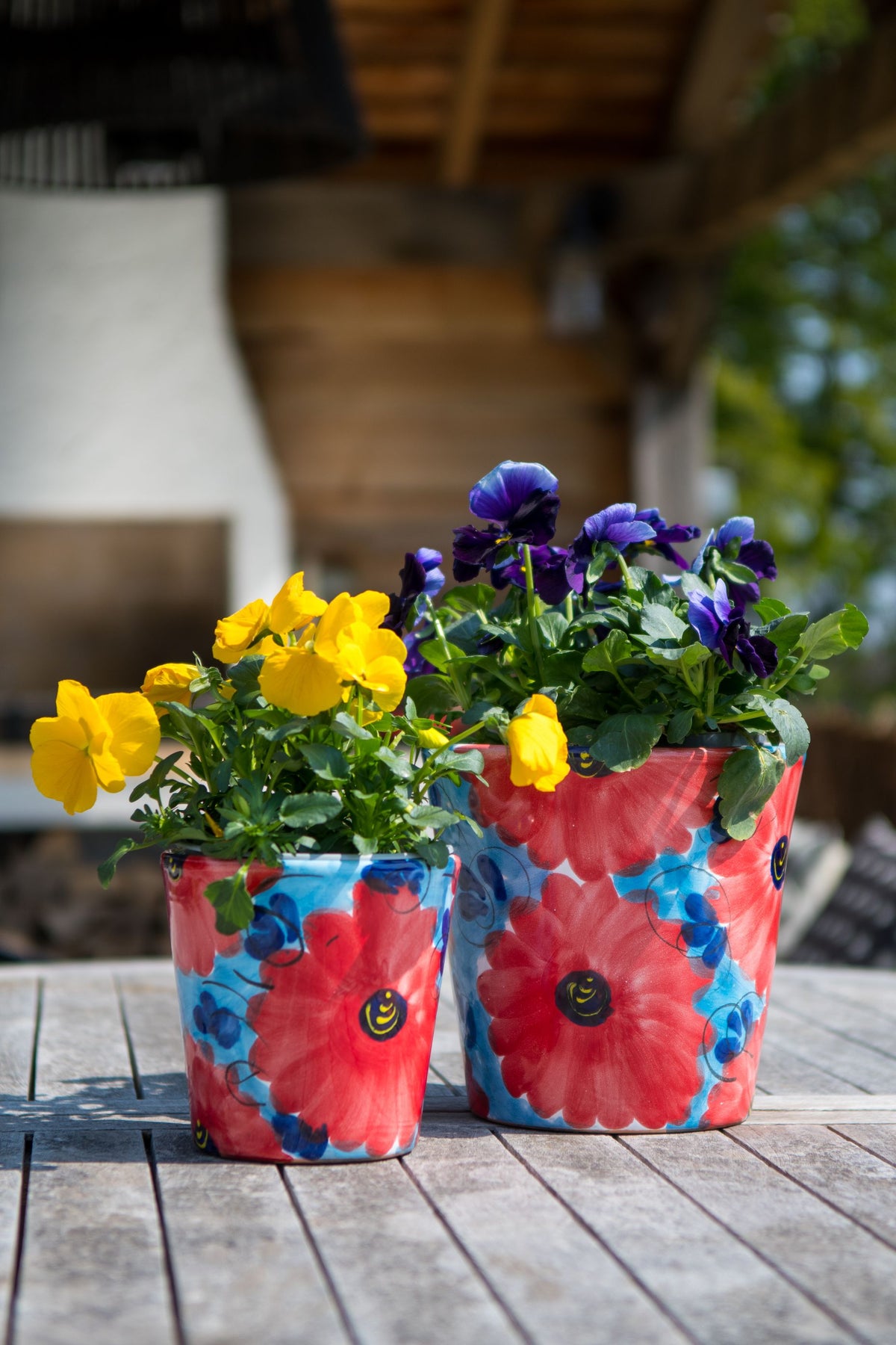 Lince Planters (Set of 2)